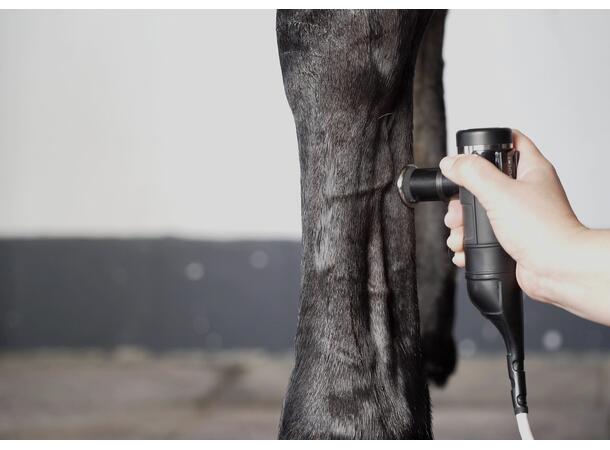 INDIBA Equus Pro 200w Clinic