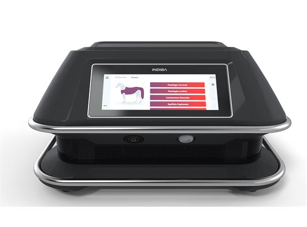 INDIBA Equus Pro 200w All-in-one