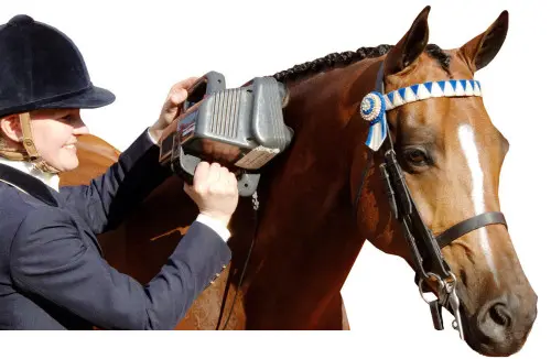 Thumper Massasjeapparat Equine 