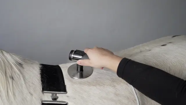 INDIBA Equus Pro 200w Mobile 