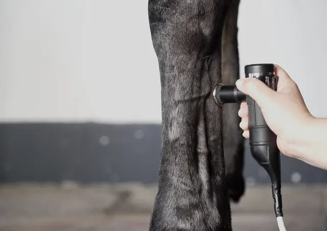 INDIBA Equus Pro 200w Mobile 