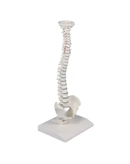 Ryggs&#248;yle Mini m. bekken og stativ 4001 H&#248;yde 38cm