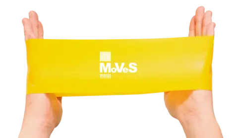 MoVeS Wide Loop Lett Gul